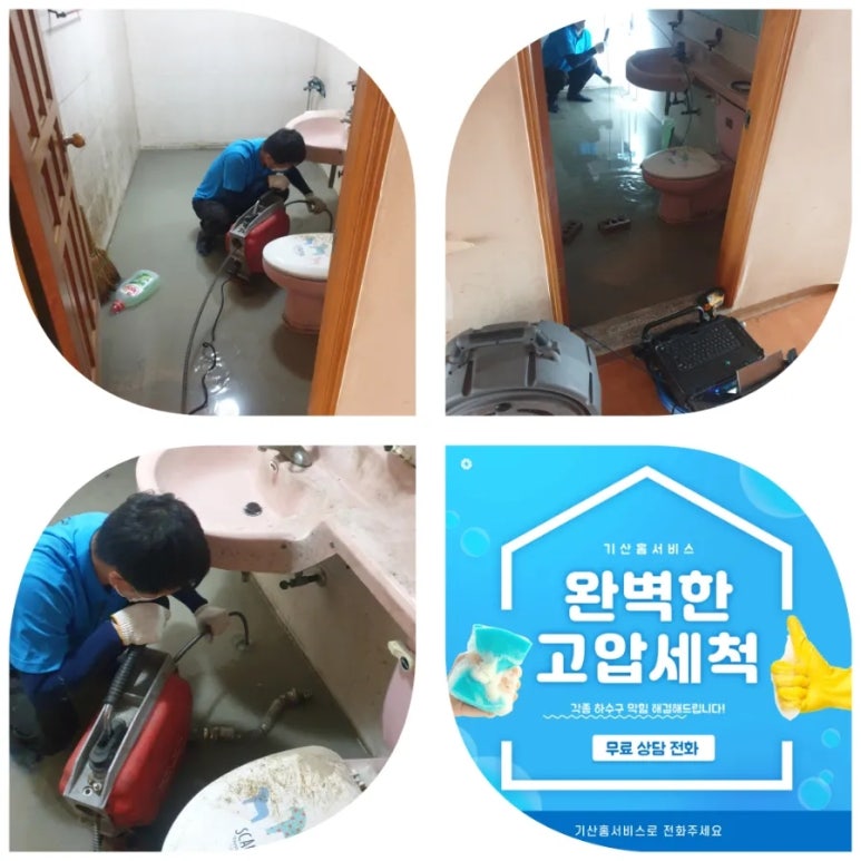 호포호 이미지