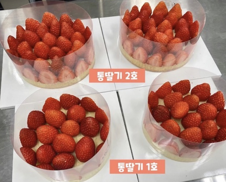 그여행용황점 이미지