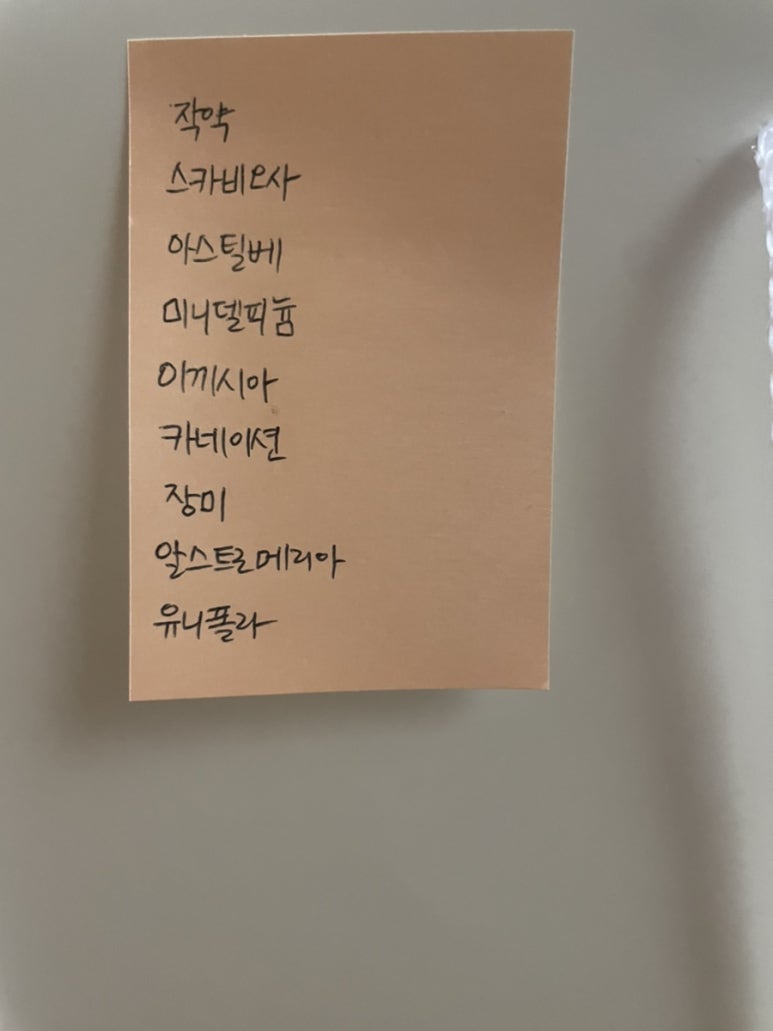 본비플레르 이미지