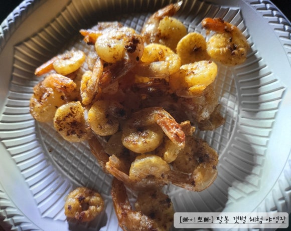 팔봉갯벌체험야영장 이미지