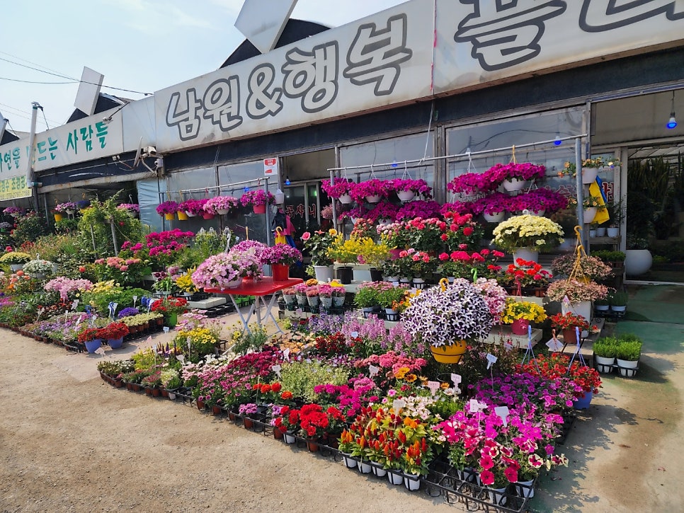 플러스화원 이미지