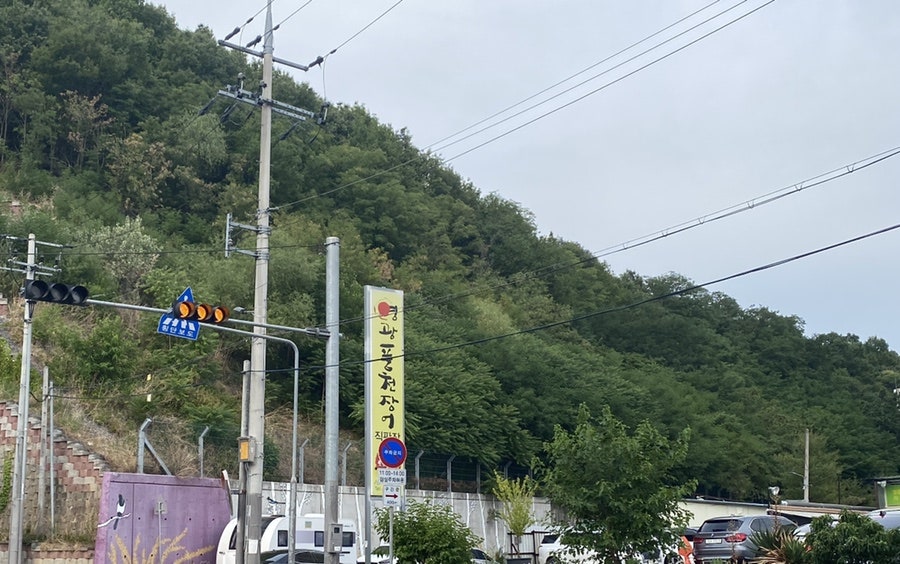 영광풍천장어 이미지