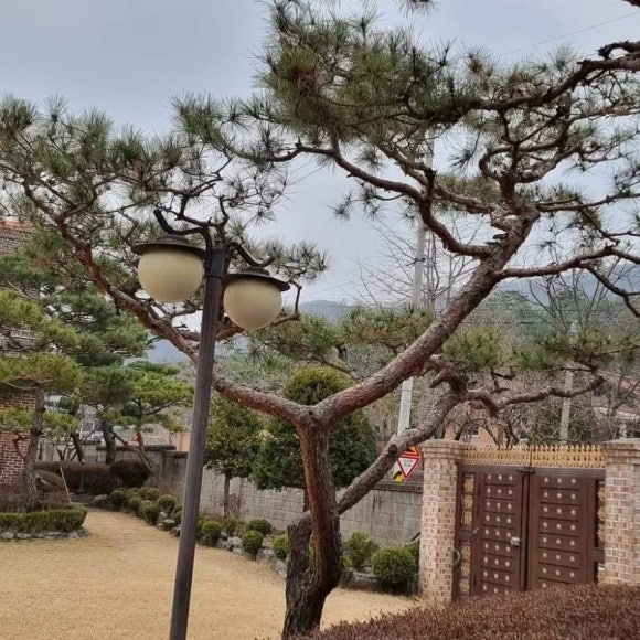 원송문학회 이미지