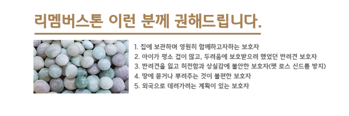 무지개장 이미지