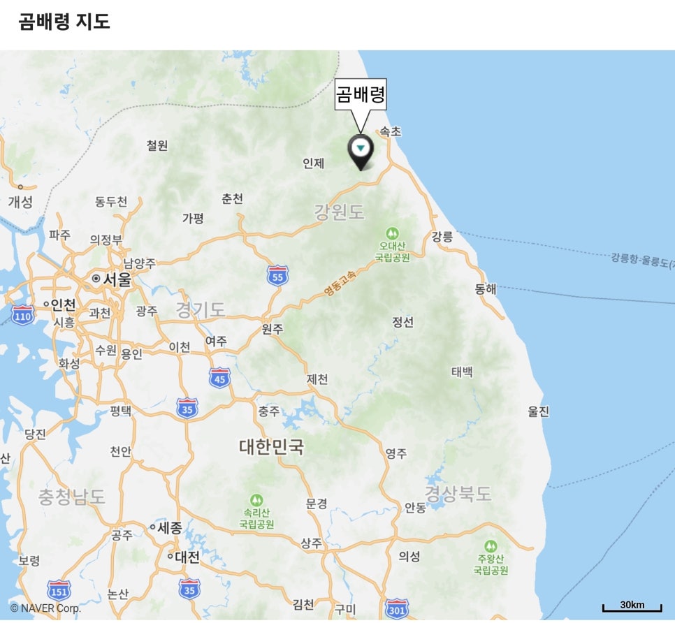강원화원 이미지