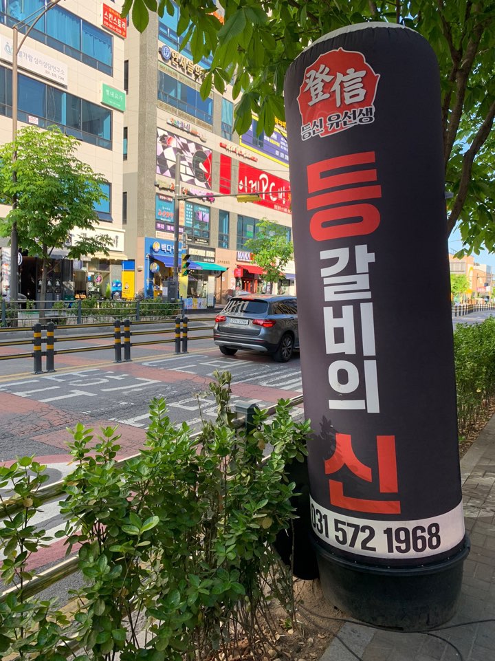 등신유선생 이미지
