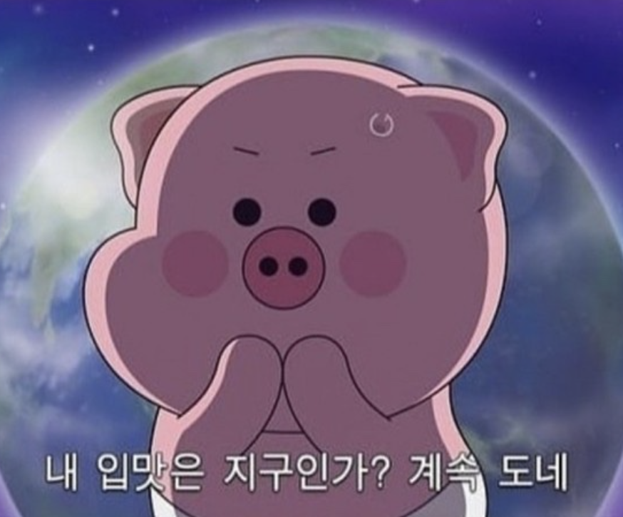 서하네김밥 이미지