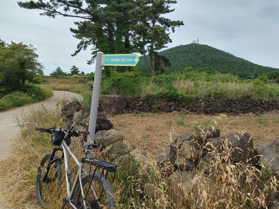 오소록제주 이미지
