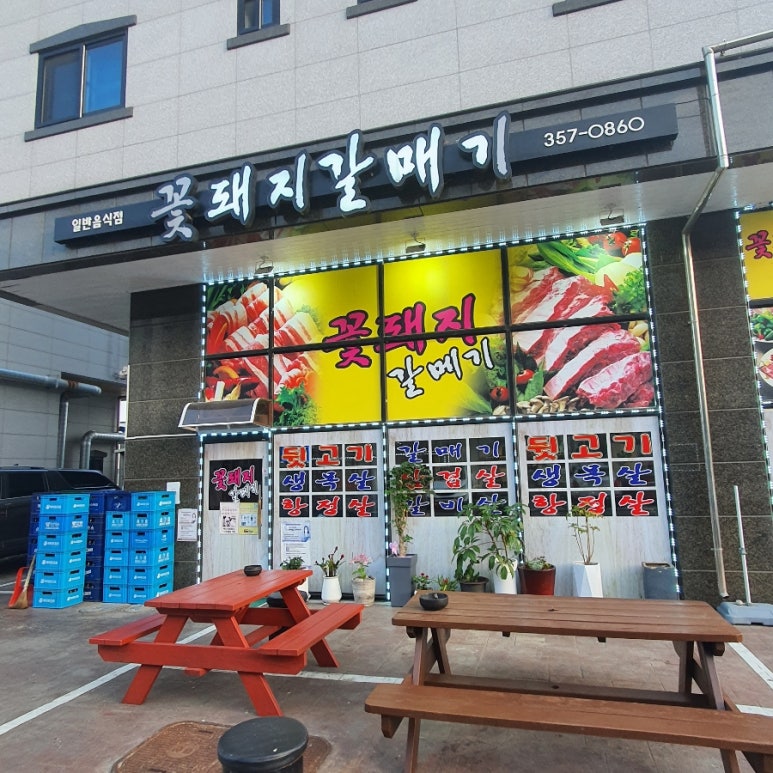 꽃돼지갈매기 이미지
