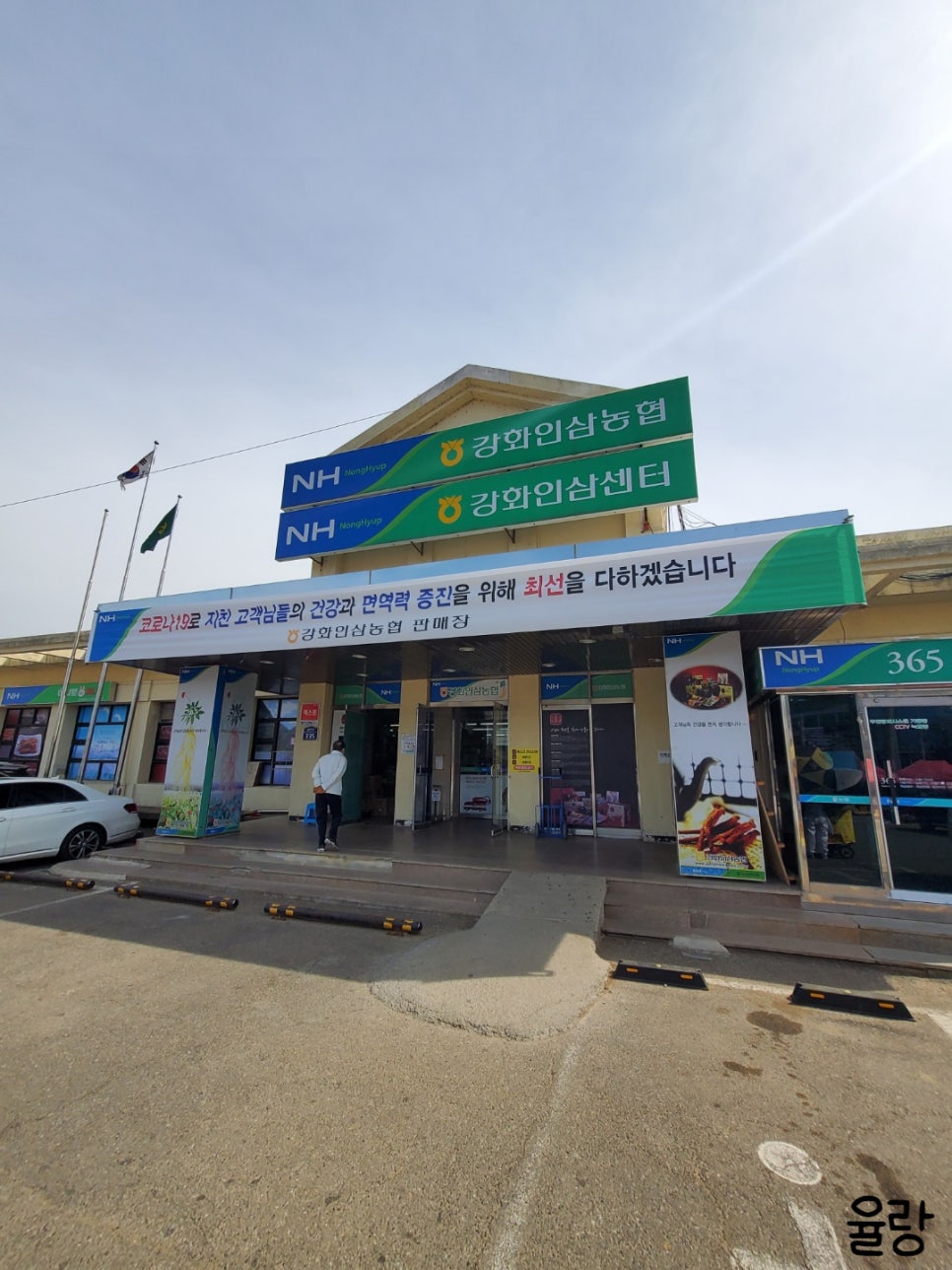 강화고려인삼영농조합법인 이미지