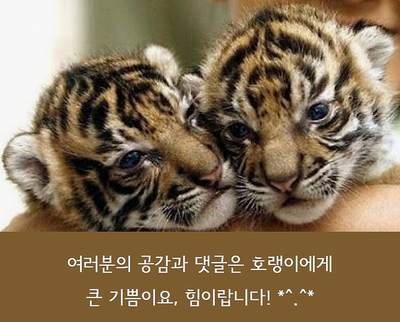 한성할인마트 이미지