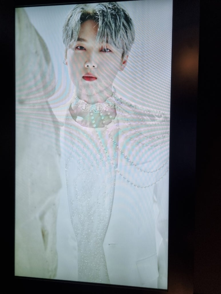 팔레트포레 이미지