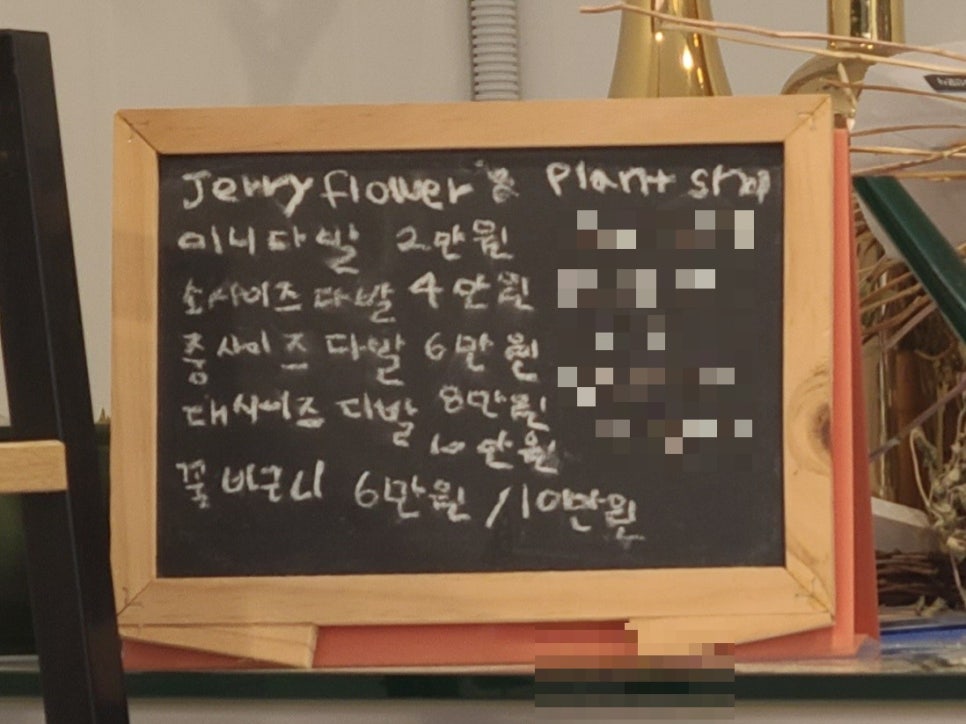 제리플라워 이미지