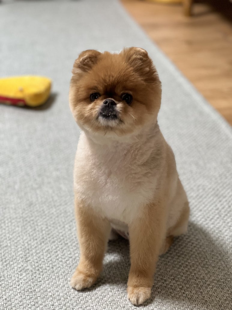 신세계미용 이미지
