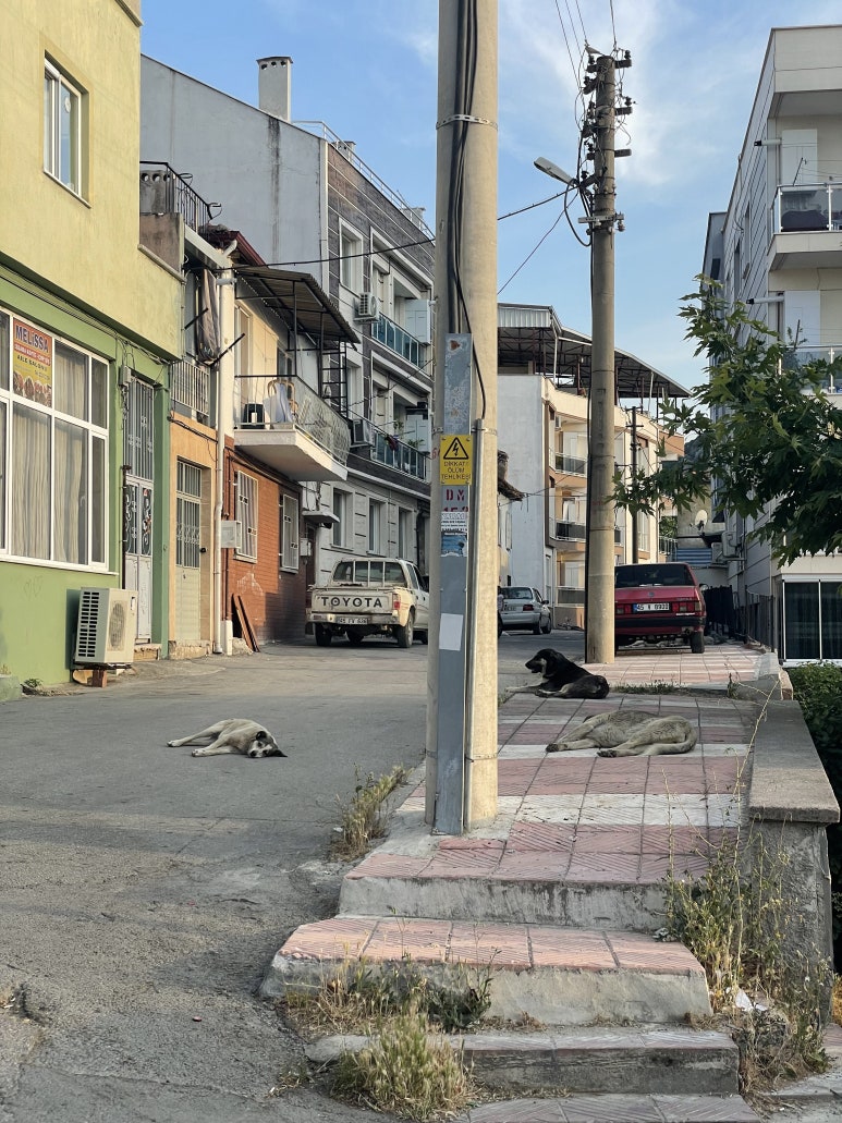 (유)여행친구 이미지
