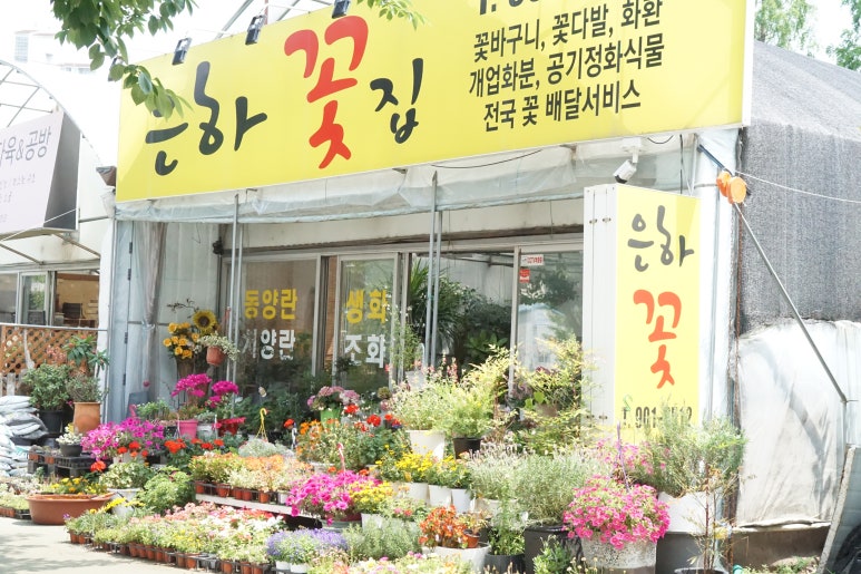 은하꽃집 이미지