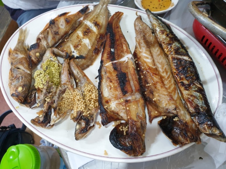 날아라 생선 이미지