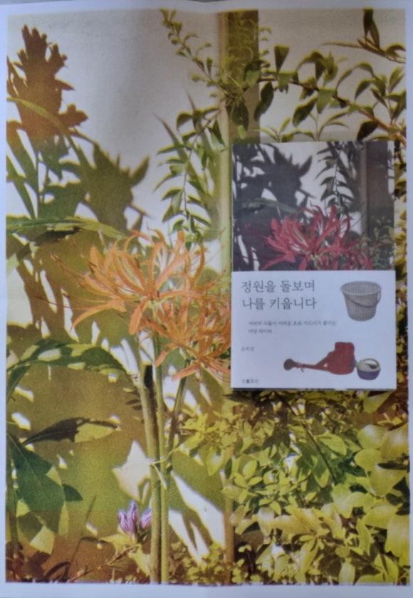 열매다방 이미지