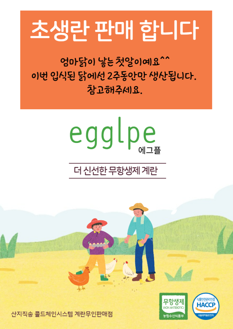 에그플 이미지