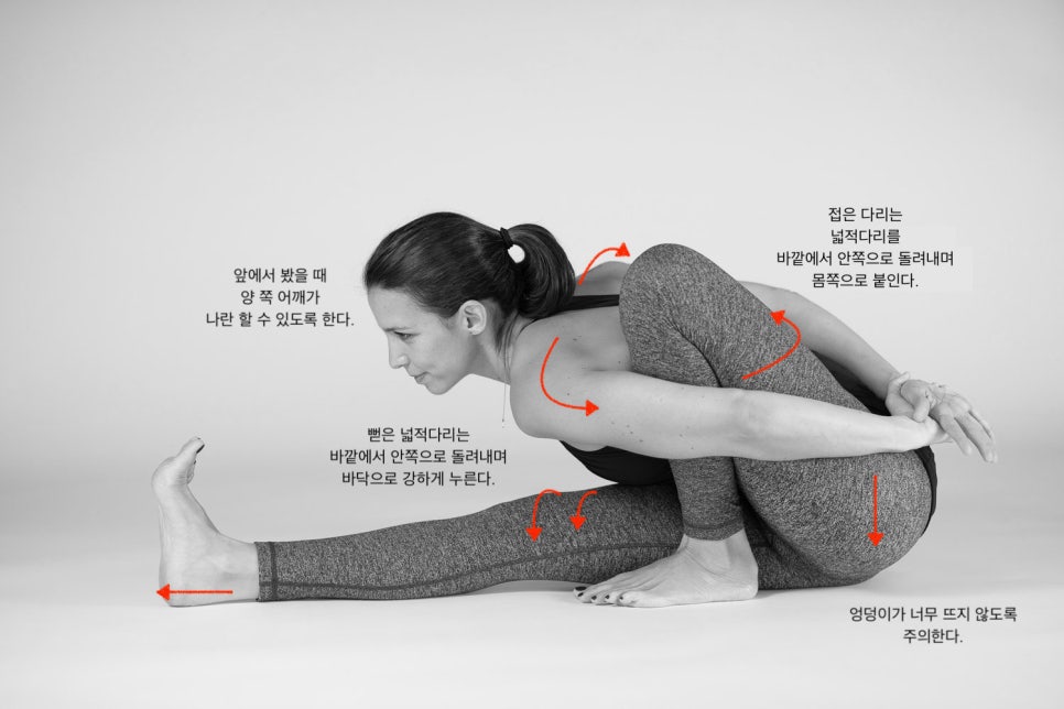 마리차 이미지