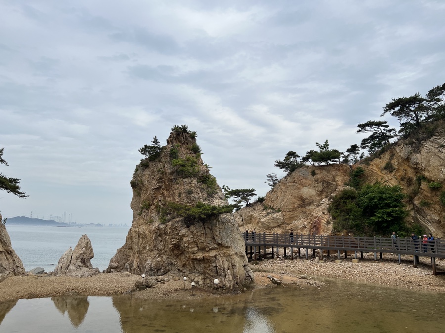 그린좌대 이미지