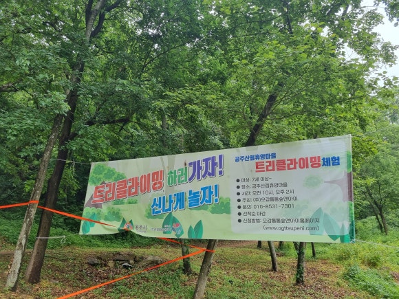 오감통통숲앤아이 이미지