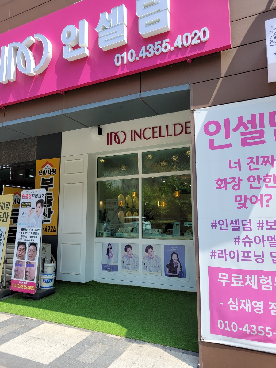 인셀덤다온 이미지