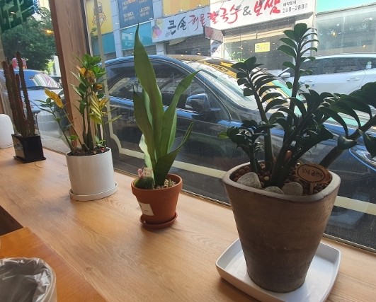 족도리청주 이미지