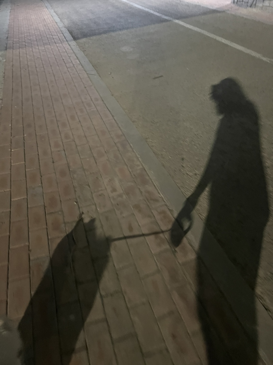 네일포롱 이미지