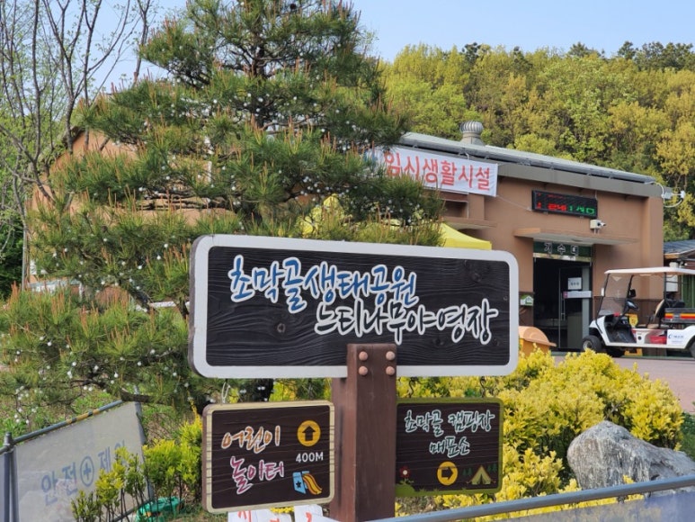 느티나무야영장 이미지