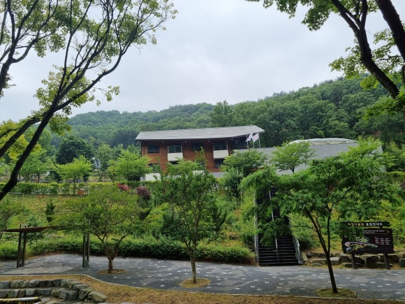 오감통통숲앤아이 이미지