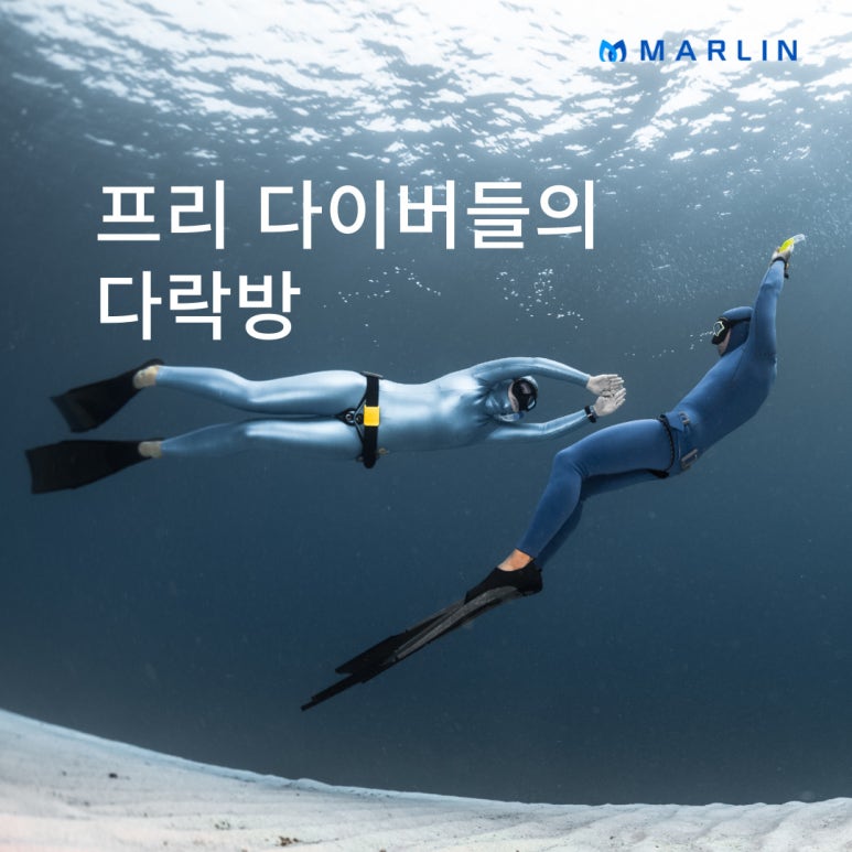 소셜다이버 이미지