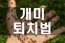 개미주유소 이미지