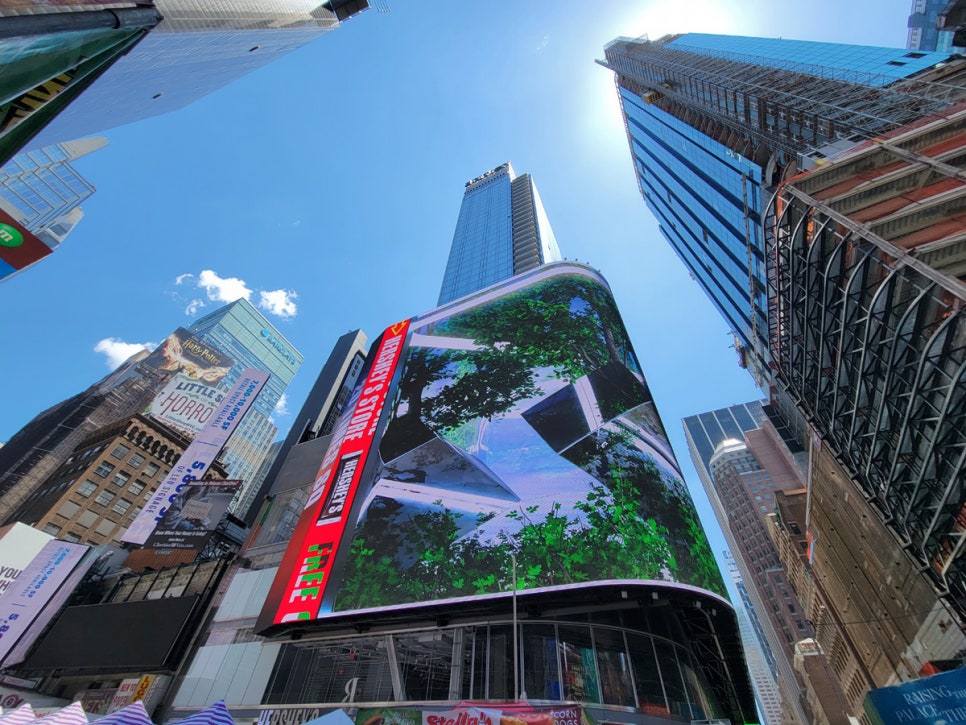 시티뉴욕(City New York) 이미지