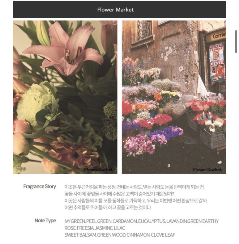 마루flower 이미지