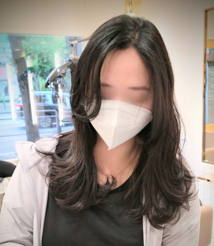 도유보네르 이미지