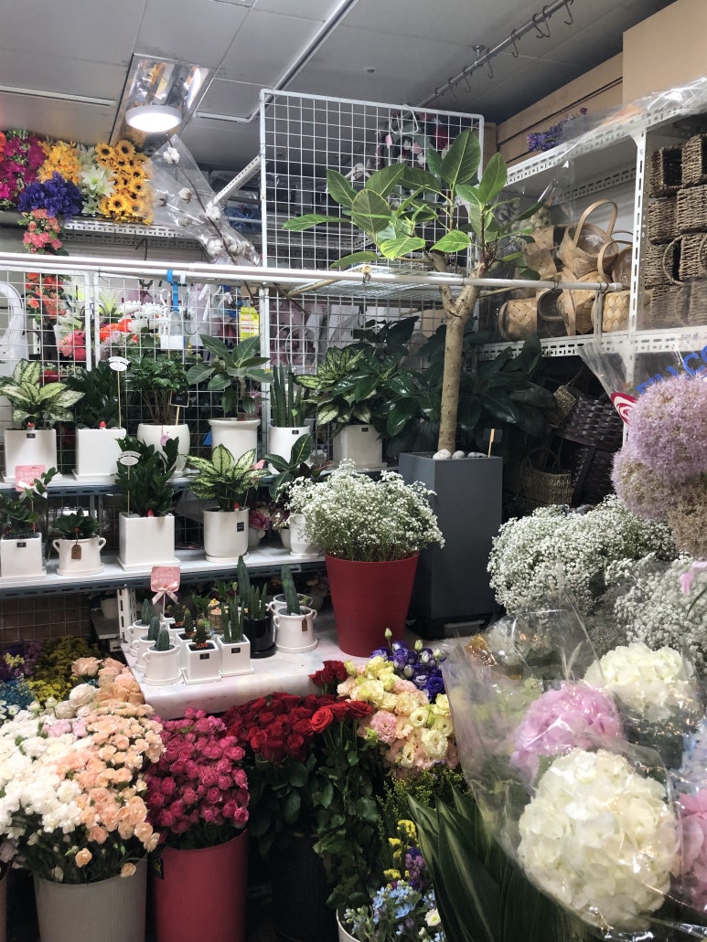 강남꽃직매장 이미지