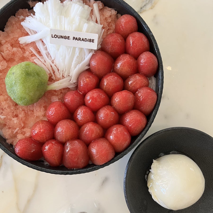 호텔토마토 이미지