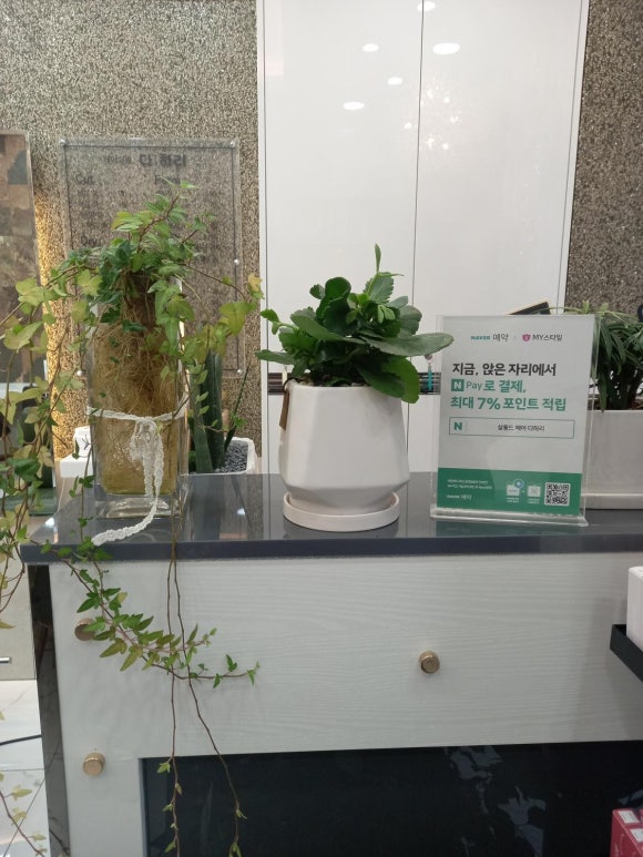 살롱드헤어 이미지