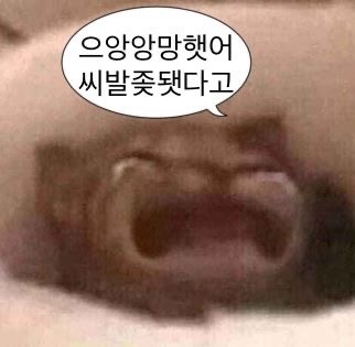 온노리 이미지