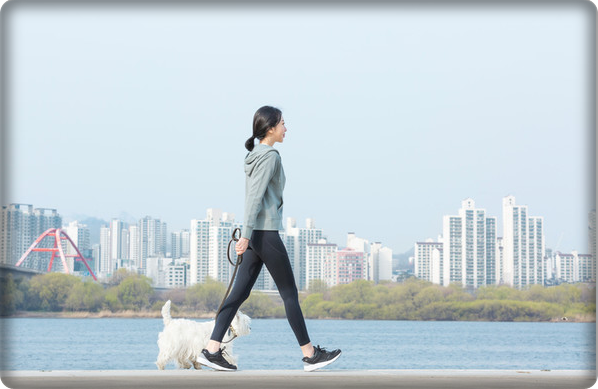 하루 30분 걷기만으로도 건강 지킬 수 있나요?의 0번 째 이미지