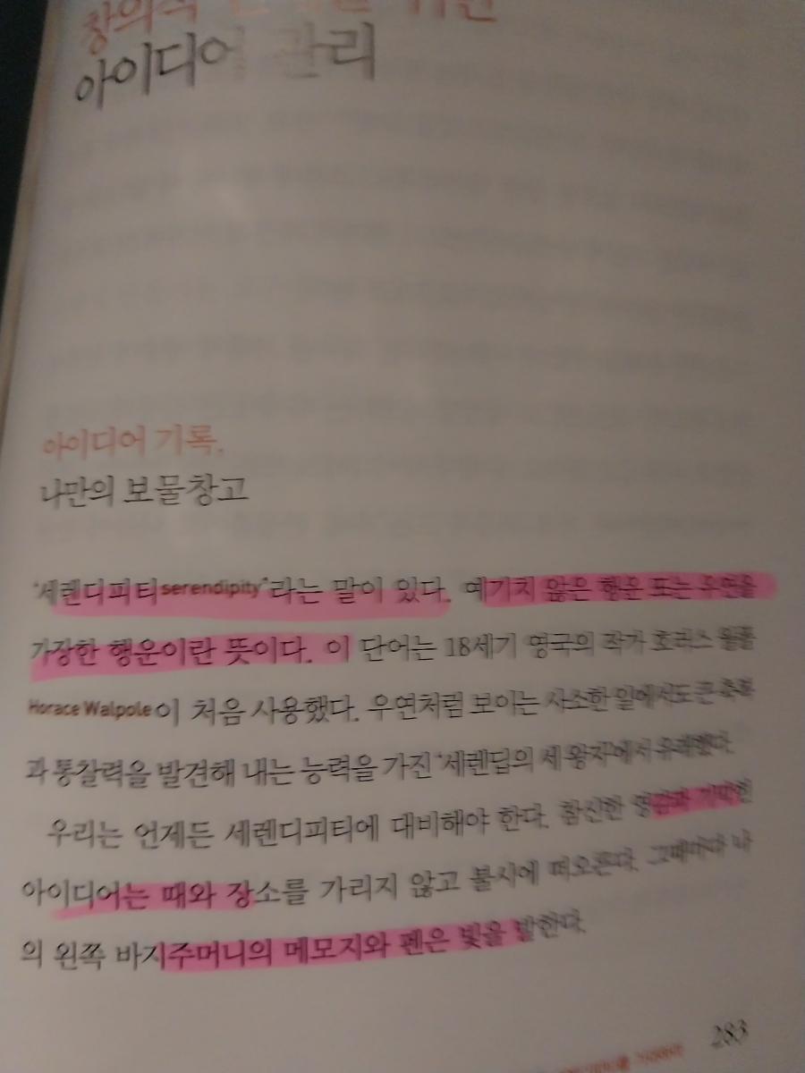 세렌디피터 이미지