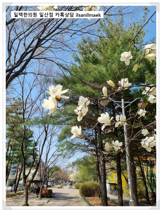 용봉원 이미지