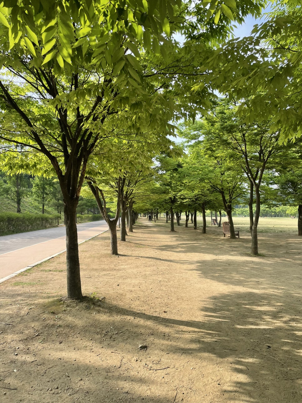 휘트니스6.3 이미지
