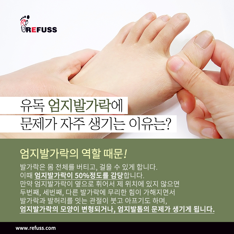 엘앤제이왁싱엔레푸스 이미지