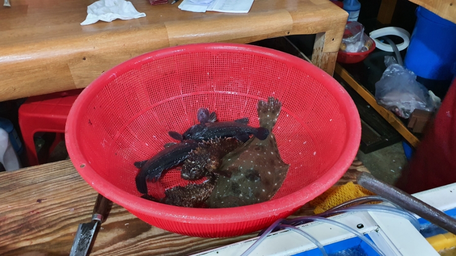 용현상회 이미지