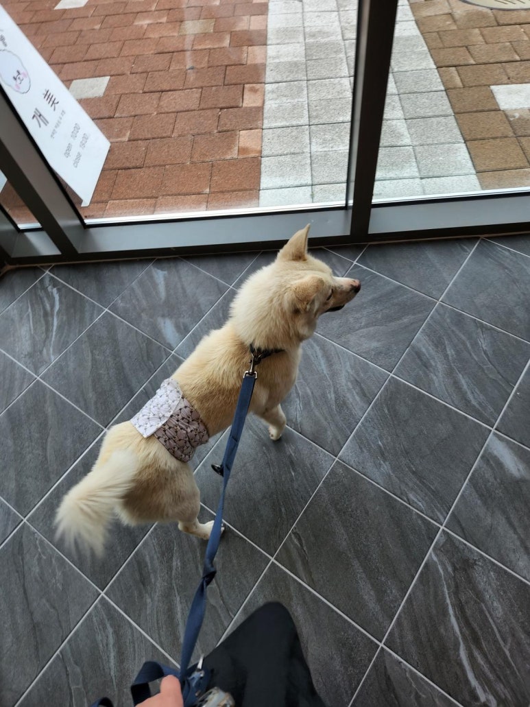 개미미용실 이미지