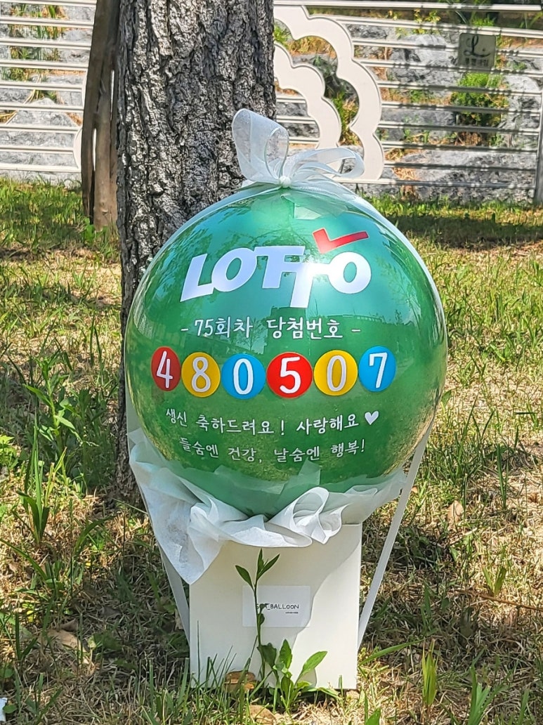 소아벌룬 이미지