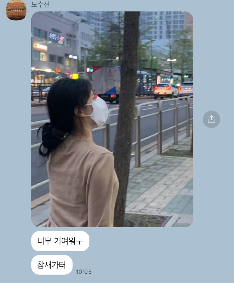 로이슨(Royson) 이미지