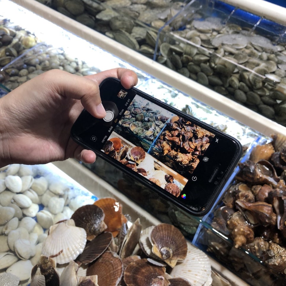 가정조개창고 이미지